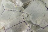 Purple Border, Cubic Fluorite Crystals - China #146979-2
